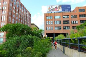 9 Things to Do Near the High Line